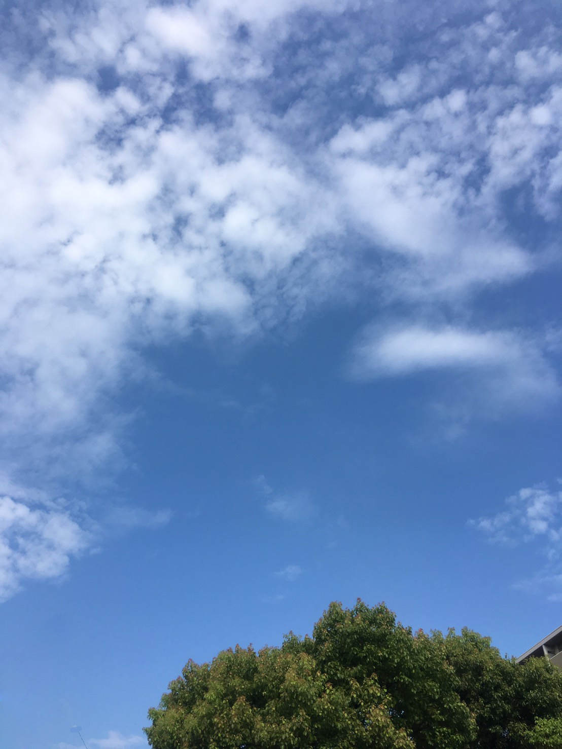 秋の空