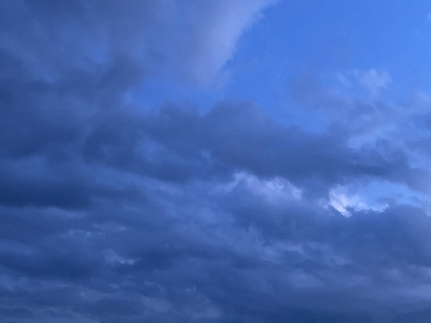 中秋の名月と雨